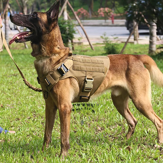 Zazu Pets Tactical Dog Harness Collar & Leash Set